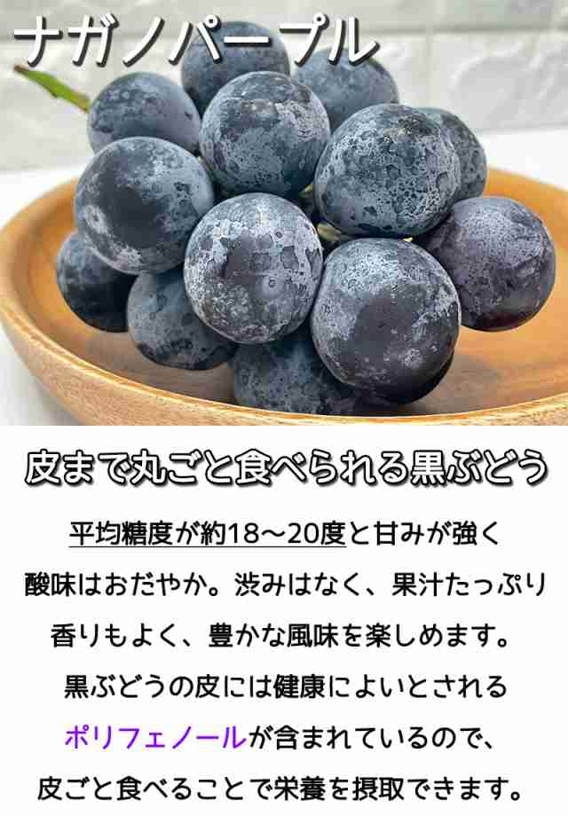 ぶどう ブドウ 長野県産 ナガノパープル 化粧箱 2房入 1Kg〜1.2Kg JAの