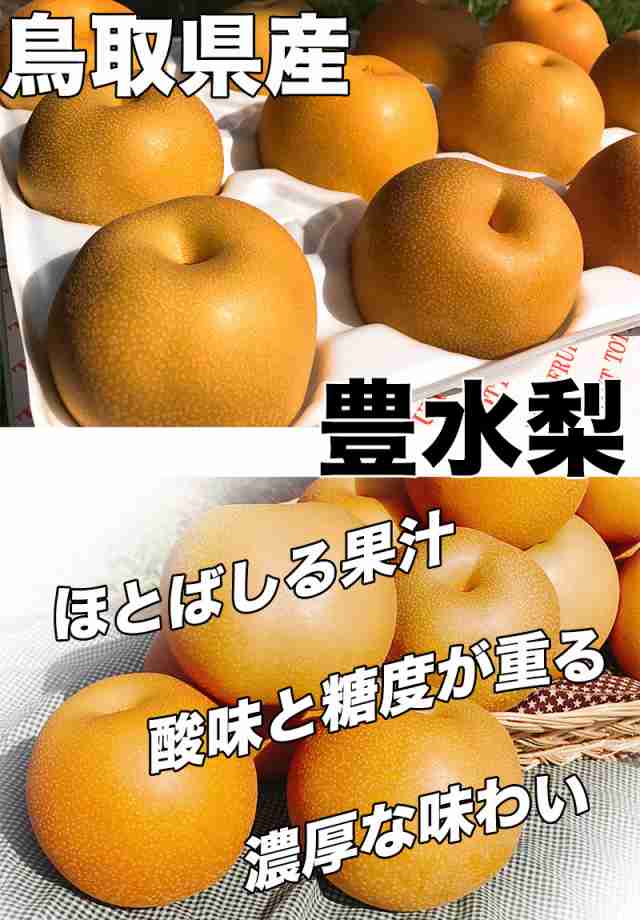 大感謝祭セール 3730円を3480円 敬老の日 梨 なし 5kg 鳥取県産 豊水 梨 5kg 8～20玉 送料無料 お試し 訳あり 梨 豊水 敬老の日  ギフト【の通販はau PAY マーケット - 大和屋 旬果庵 au PAY マーケット店