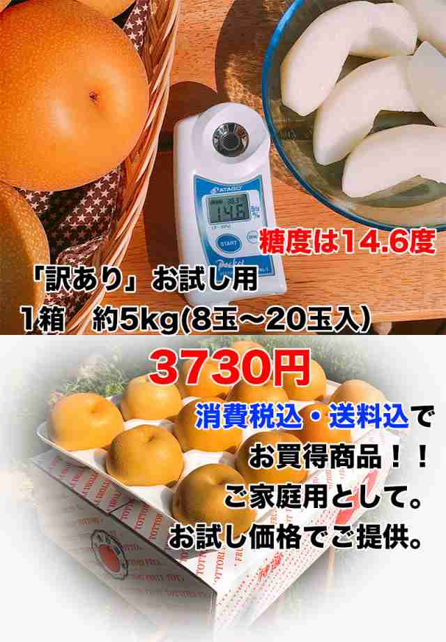 大感謝祭セール 3730円を3480円 敬老の日 梨 なし 5kg 鳥取県産 豊水 梨 5kg 8～20玉 送料無料 お試し 訳あり 梨 豊水 敬老の日  ギフト【の通販はau PAY マーケット - 大和屋 旬果庵 au PAY マーケット店