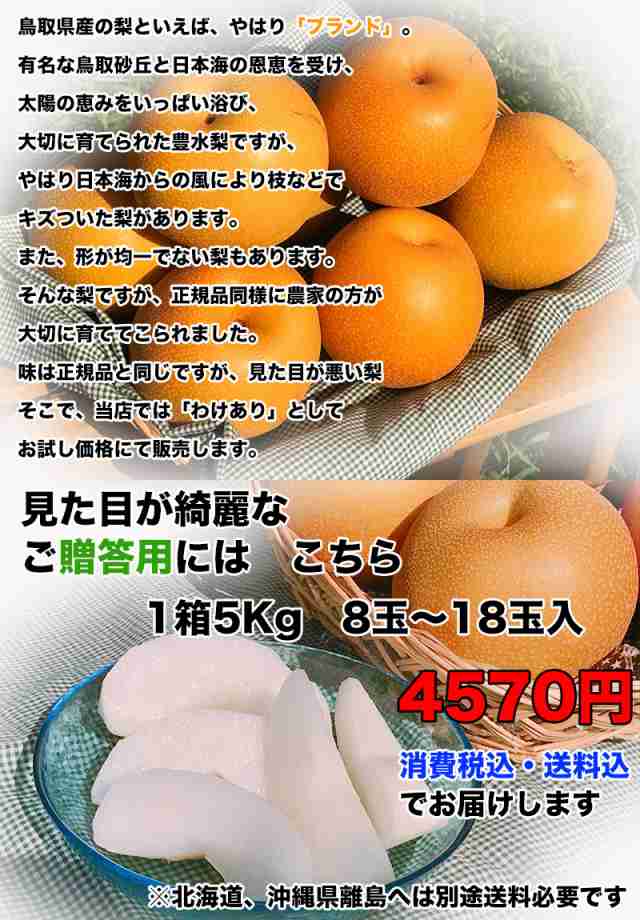 大感謝祭セール 4570円を3980円 敬老の日 梨 なし 5kg クール便送料無料 鳥取県産 豊水 梨 秀品 5kg 8～18玉 送料無料 贈答用  梨 豊水 ギの通販はau PAY マーケット - 大和屋 旬果庵 au PAY マーケット店