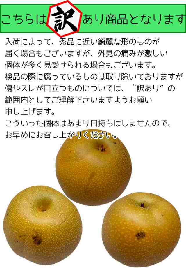 大感謝祭セール 3730円を3480円 敬老の日 梨 なし 5kg 鳥取県産 豊水 梨 5kg 8～20玉 送料無料 お試し 訳あり 梨 豊水 敬老の日  ギフト【の通販はau PAY マーケット - 大和屋 旬果庵 au PAY マーケット店