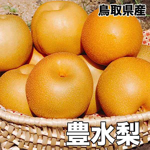 大感謝祭セール 3730円を3480円 敬老の日 梨 なし 5kg 鳥取県産 豊水 梨 5kg 8～20玉 送料無料 お試し 訳あり 梨 豊水 敬老の日  ギフト【の通販はau PAY マーケット - 大和屋 旬果庵 au PAY マーケット店