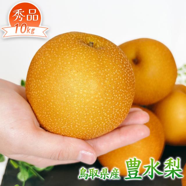 梨 なし 5kg 送料無料 鳥取県産 豊水 梨 秀品 10kg 16〜36玉 送料無料 贈答用 梨 豊水梨 ギフト 敬老の日 お歳暮 ギフト
