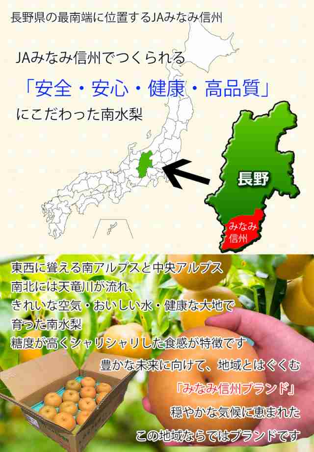 梨 南水梨 送料無料 信州 長野県産 南水梨 秀品 化粧箱入り 8玉入 約