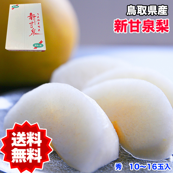 梨料 5kg 送料無料 新甘泉梨 鳥取県産 新甘泉梨 秀品 5kg 12〜16玉入 梨 新甘泉 鳥取 なし ナシ ギフト 贈答用 敬老の日 ギフト