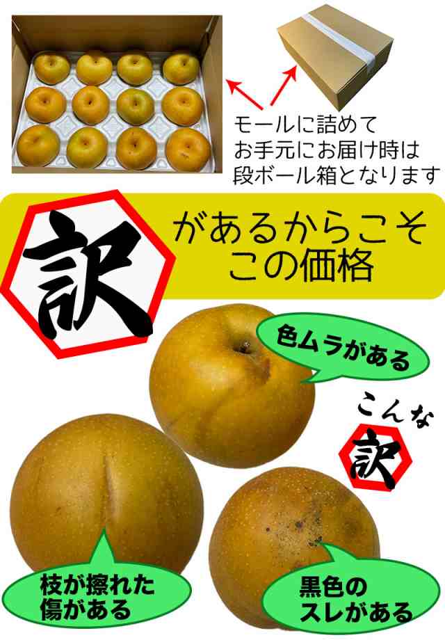 梨 送料無料 5kg 訳あり 鳥取県産 新甘泉梨 5kg 6〜20玉入 ご家庭用