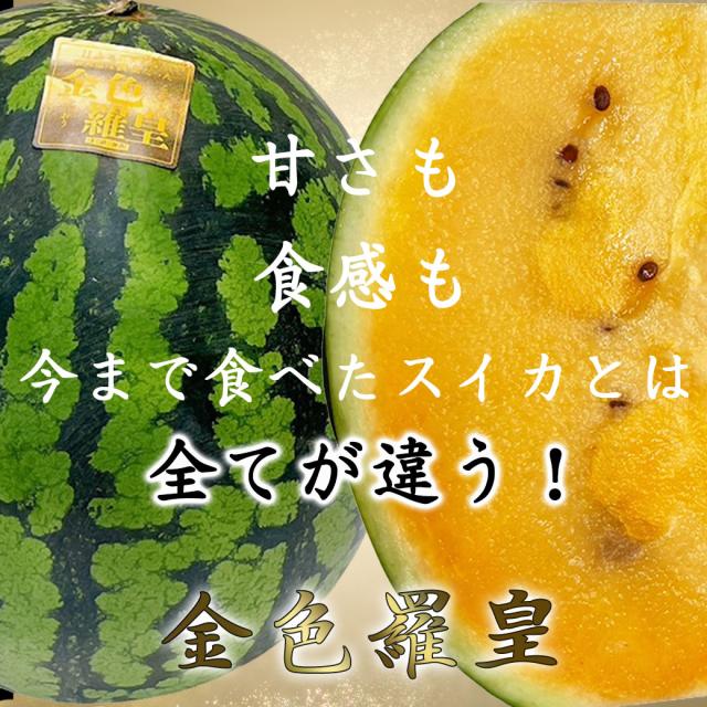 TVで紹介された すいか 長野 こんじきらおう 西瓜 金色羅王 長野県産 金色羅皇 西瓜 大サイズ 9kg以上 希少な黄金スイカ プレミアム ギフト 黄金の高級スイカ 黄色い スイカ_1