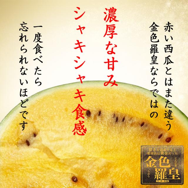 TVで紹介された すいか 長野 こんじきらおう 西瓜 金色羅王 長野県産 金色羅皇 西瓜 大サイズ 9kg以上 希少な黄金スイカ プレミアム ギフト 黄金の高級スイカ 黄色い スイカ_2