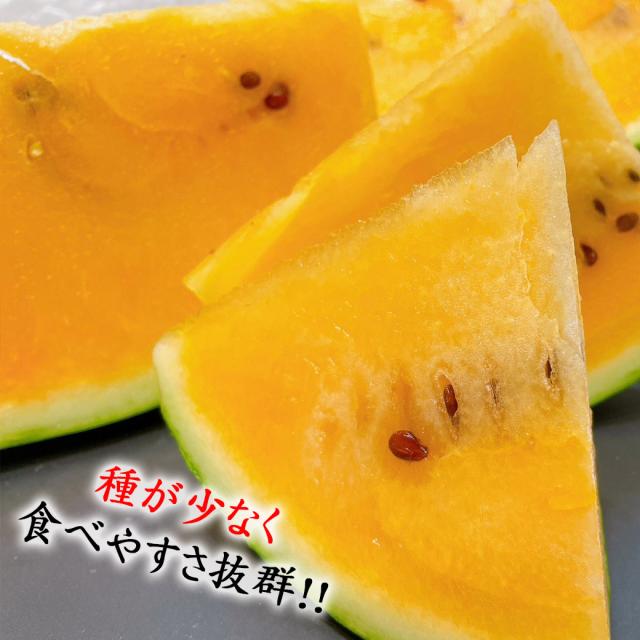 TVで紹介された すいか 長野 こんじきらおう 西瓜 金色羅王 長野県産 金色羅皇 西瓜 大サイズ 9kg以上 希少な黄金スイカ プレミアム ギフト 黄金の高級スイカ 黄色い スイカ_8