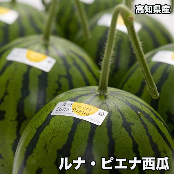 スイカ すいか 西瓜 小玉 送料無料 高知県産 ルナピエナ 西瓜 約2.5kg