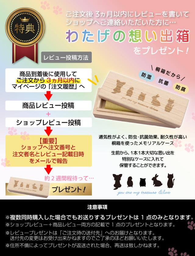 ペット仏壇セット 仏壇 仏具 おりん 日本製仏壇 燭台皿 ロウソク立 香皿 香立 供物皿 水入れ 花立 造花 8点セット 陶器 おりん お鈴 りん棒 リン棒 犬 猫 可愛い 祭壇 ペット用仏壇 骨壺収納 ペット供養 ネームシール付き おうち型 おしゃれ 2寸 3寸 4寸対応 手元供養_10