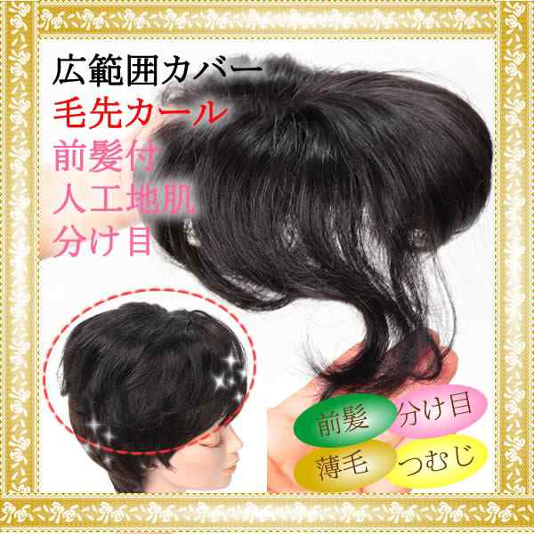 ヘアピース 前髪ウィッグ かつら 部分ウィッグ ポイントウィッグ 増毛 人気 分け目 つむじカバー Tk38の通販はau Pay マーケット ウィッグ Wig ルネス