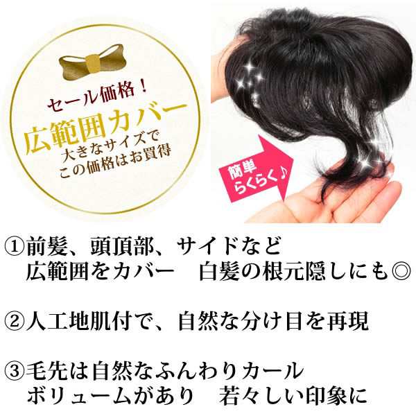 ヘアピース 前髪ウィッグ かつら 部分ウィッグ ポイントウィッグ 増毛 人気 分け目 つむじカバー Tk38の通販はau Pay マーケット ウィッグ Wig ルネス