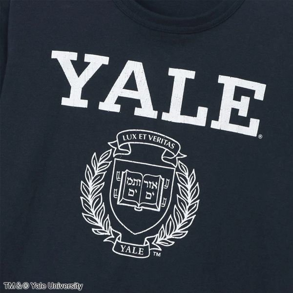 チャンピオン Champion / ティーテンイレブン ショートスリーブTシャツ / YELE University イェール大学 / MADE IN USA / C5-D306 / 厚手 ヘビーウェイト USA製 半袖 メンズ レディース / 2026春夏 / ネコポス対応_3