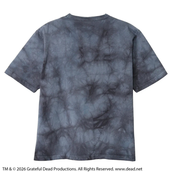 チャンピオン Champion / ティーテンイレブン ショートスリーブTシャツ Grateful Dead / MADE IN USA / C5-D308 / 厚手 ヘビーウェイト USA製 ロックT バンドT 半袖 メンズ レディース / 2026春夏 / ネコポス対応_6