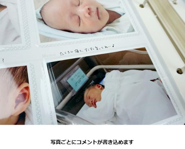 【送料無料】VANJOH・万丈 メガアルバム 1200 Nature NL-1200LGY リネングレー 106-569 L判 1200枚収納_2