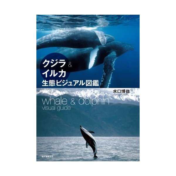 クジラ イルカ生態ビジュアル図鑑 中古 古本の通販はau Pay マーケット ランクアップ Au Pay マーケット店