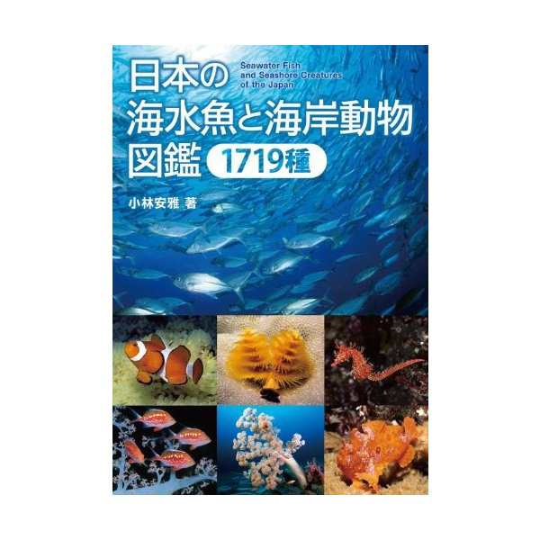 日本の海水魚と海岸動物図鑑 1719種 中古 古本の通販はau Pay マーケット ランクアップ Au Pay マーケット店