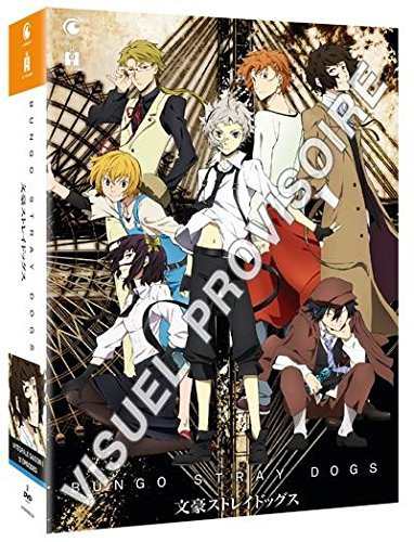 送料無料 文豪ストレイドッグス Tv版 第1期 コンプリート Dvd Box ぶんごうストレイドッグス 朝霧カフカ 異能力 バトル アクション アの通販はau Pay マーケット アニメdvd専門店アニメストア