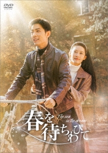 中国ドラマ/春を待ちわびて〜The sea in the dream〜-第27話〜第38話(完)- (DVD-BOX3) 日本盤　夢中的那片海　Where Dreams Begin