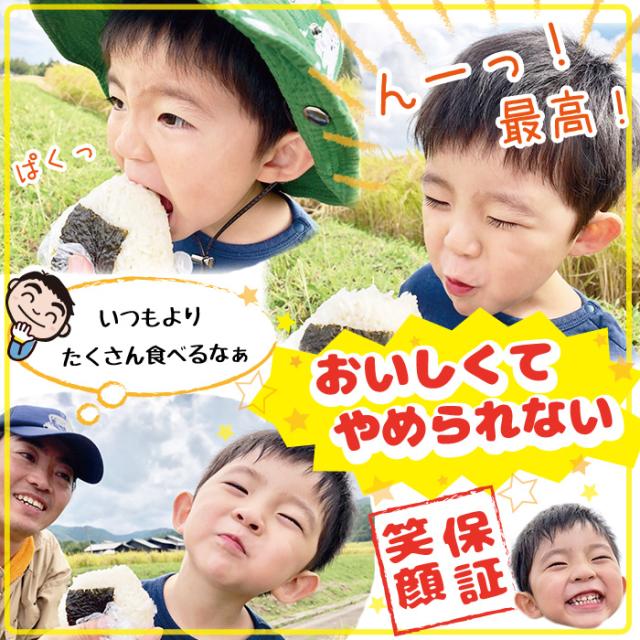 令和7年産 佐渡産ゆきん子舞 10kg (白米/玄米)(/無洗米/7分づき：有料) 雪国で育った新潟の品種【普通便(常温)発送】【一律送料無料（沖縄県を除く）】_1