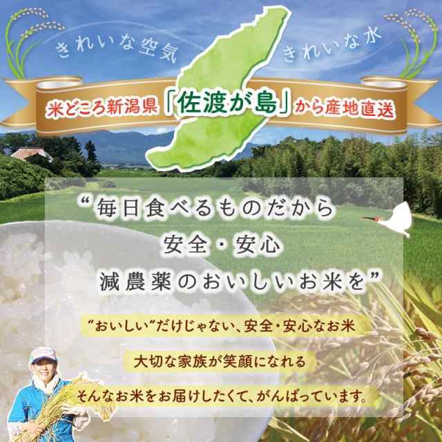 在庫限り\13,300→\12,980】令和4年産　au　【普の通販はau　大野山麓で育てた特別栽培米　マーケット　PAY　佐渡産こしいぶき　マーケット－通販サイト　25kg　(白米/玄米)(/無洗米/7分づき：有料)　食の宝島佐渡　PAY