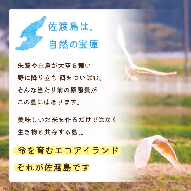 令和7年産 佐渡産ゆきん子舞 10kg (白米/玄米)(/無洗米/7分づき：有料) 雪国で育った新潟の品種【普通便(常温)発送】【一律送料無料（沖縄県を除く）】_4