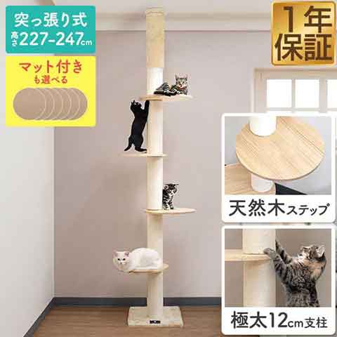 キャットツリー キャットウォーク 突っ張り スリム 太め 紐巻き 12cm支柱 高さ227〜247cm ステップ4段 猫タワー 低め シニア 運動不足  木登り 木登りタワー 木登りキャットポール 設置 簡単 爪とぎ 多頭 猫 ネコ ねこ ペット 1年保証 送料無料の通販はau PAY マーケット ...