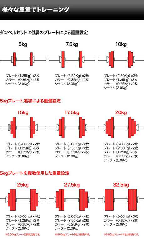 ダンベル バーベル 用 プレート 5kg 2個セット ブラックアイアン + ラバーリング 付き 追加プレート 追加 ダンベルプレート バーベルシャフト  用 ラバーダンベル 筋トレ トレーニング 交換 パーツ オプション 計10kg 1年保証 [送料無料]の通販はau PAY マーケット ...