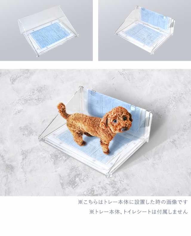 オーダーメイドペットアクリルトイレ　DAIHUKUtype　※飛散ガード付き犬用品