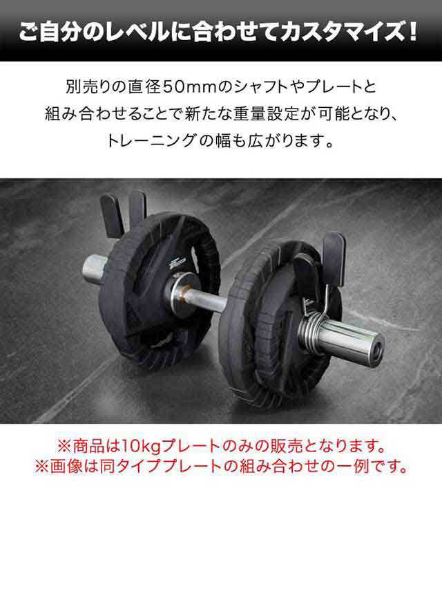 ダンベルプレート 穴あき 10kg 2枚セット 穴径50mm 追加 バーベル用 プレート バーベルプレート ダンベル 筋トレ ホームジム  ウエイトト｜au PAY マーケット