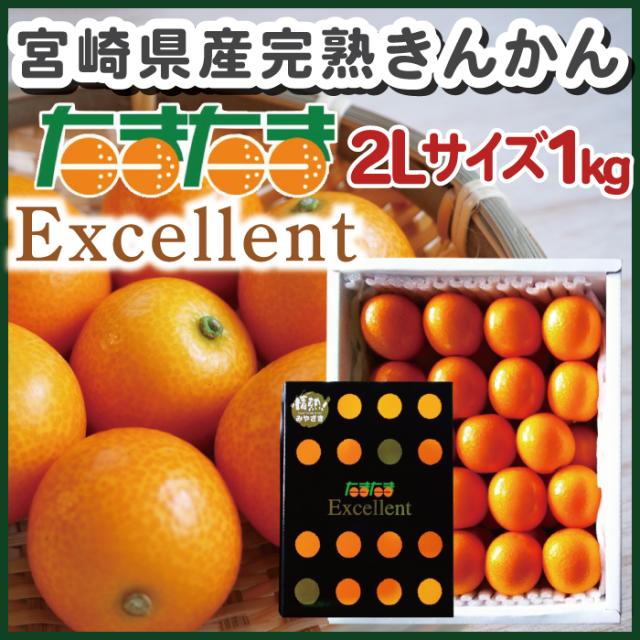 宮崎県産 完熟きんかん たまたま エクセレント 2Lサイズ1kg まるかじり 宮崎県産 自慢 完熟きんかん ギフト おすすめ 高級フルーツ 送料無料 きんかん たまたま 完熟きんかん フルーツギフト