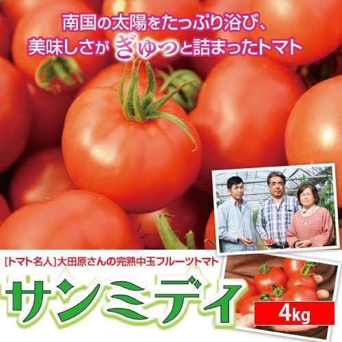 宮崎県産完熟中玉フルーツトマト 濃厚なコクと旨味が癖になる産地直送