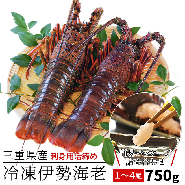 三重県産 伊勢海老詰合せ １尾〜４尾で約７５０ｇ 送料無料 刺身用瞬間冷凍 伊勢エビ 尾数選べます