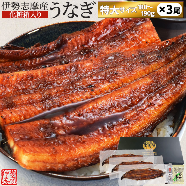 うなぎ 伊勢志摩産 たれ 特大サイズ ３尾 たれ付 送料無料 国産 ウナギ 鰻 蒲焼き 丑の日 個包装 冷凍 化粧箱入 プレゼント ギフト