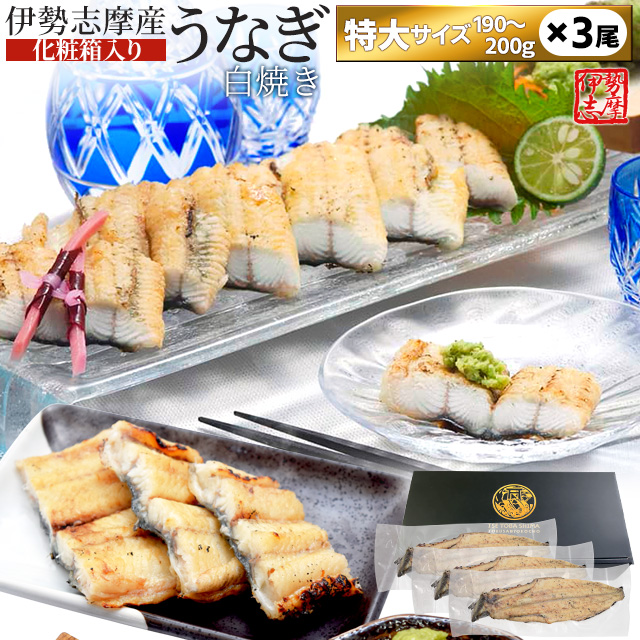 うなぎ 伊勢志摩産 白焼き 特大サイズ ３尾 送料無料 国産 ウナギ 鰻 蒲焼き 丑の日 個包装 冷凍 化粧箱入 プレゼント ギフト
