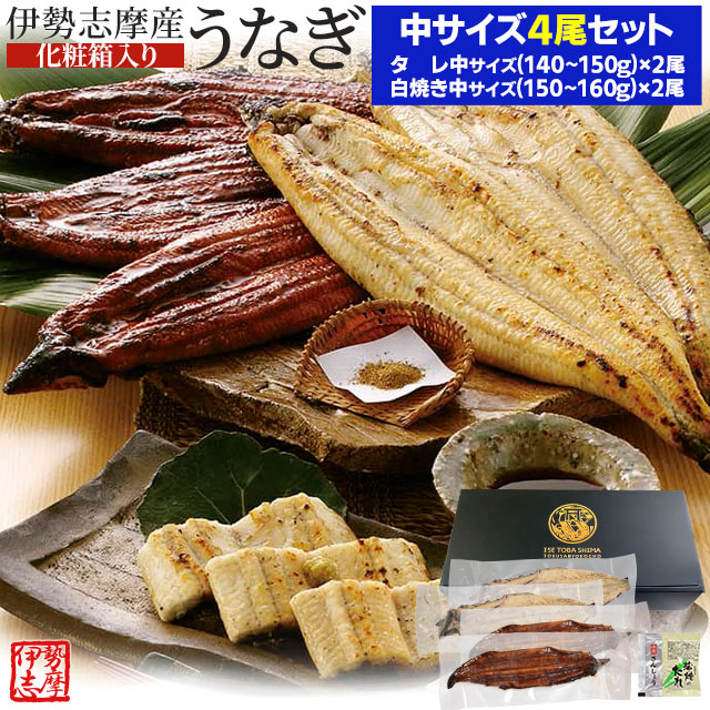 うなぎ セット 伊勢志摩産 中サイズ４尾（たれ２尾 白焼き２尾） たれ付 送料無料 国産 ウナギ 鰻 蒲焼き 丑の日 個包装 冷凍 化粧箱入 プレゼント ギフト