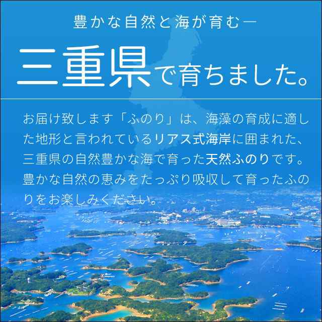 ふのり ８０ｇ 三重県産 メール便 送料無料 天然 国産 海藻 NPの通販はau PAY マーケット - 伊勢鳥羽志摩特産横丁