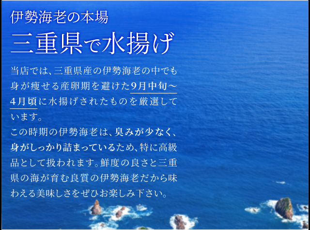 松阪牛 伊勢海老 詰合せ 美し国 三重 伊勢路 −喜−ギフト パッケージ Ａ５ランク厳選 松阪牛 切り落とし 肉 ４００ｇ 三重県産 伊勢海老 ２尾で４００ｇ_5