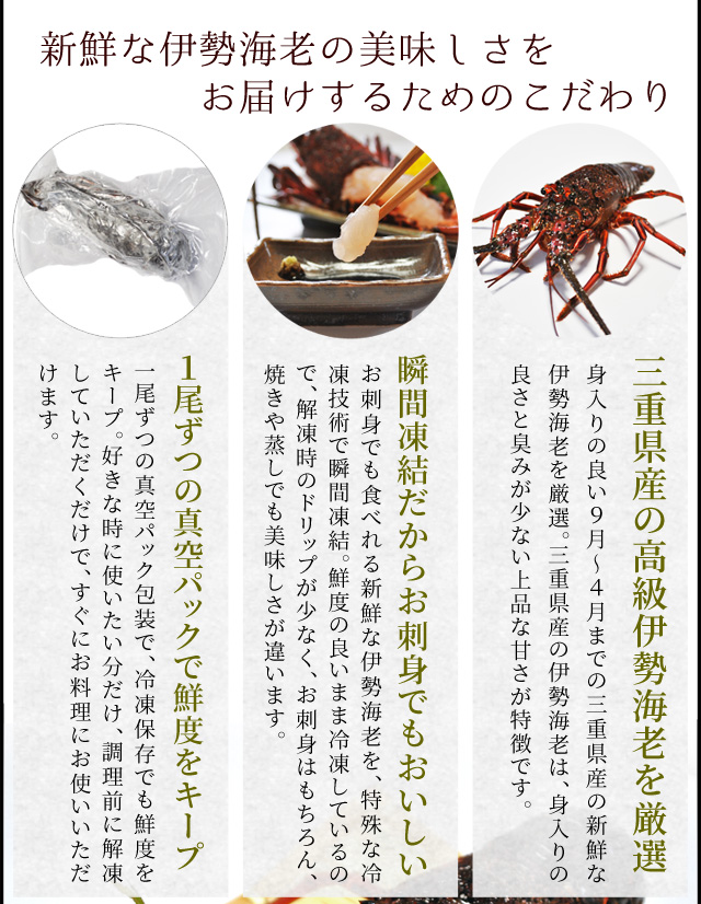 松阪牛 伊勢海老 詰合せ 美し国 三重 伊勢路 −喜−ギフト パッケージ Ａ５ランク厳選 松阪牛 切り落とし 肉 ４００ｇ 三重県産 伊勢海老 ２尾で４００ｇ_6