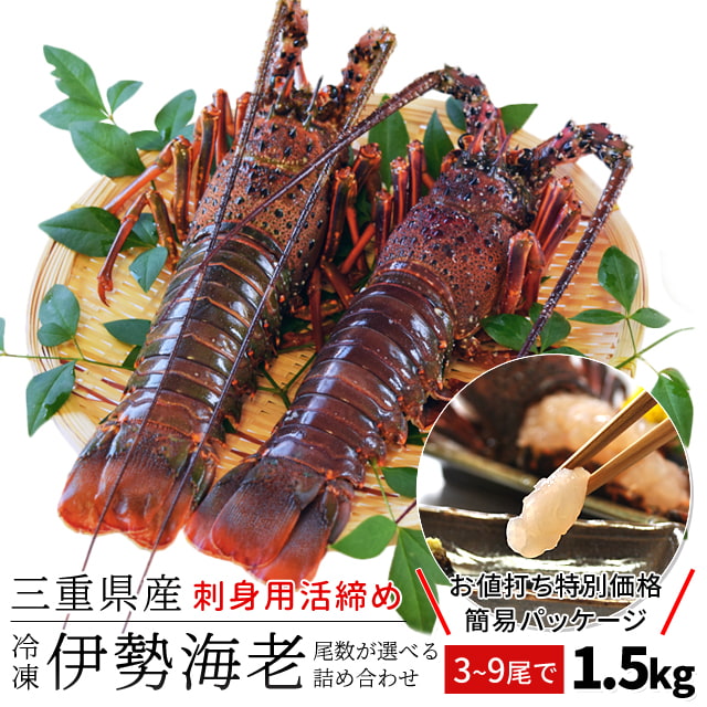 伊勢海老 三重県 伊勢志摩産 選べるサイズ ３〜９尾で約１．５ｋｇ 送料無料 刺身用瞬間冷凍 伊勢エビ 訳あり イセエビ プレゼント ギフト
