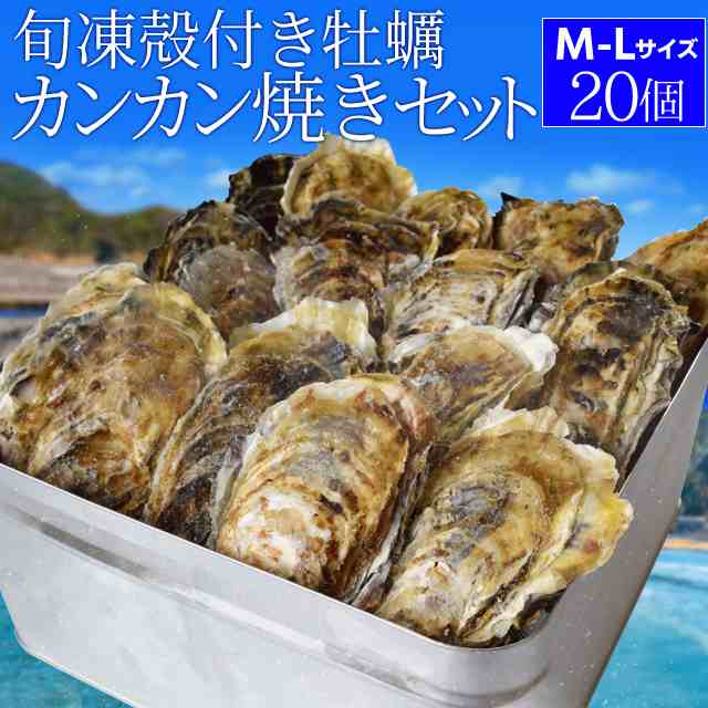 ふるさと納税 伊勢志摩プレミアムオイスター20個入 生カキ 生牡蠣 生食