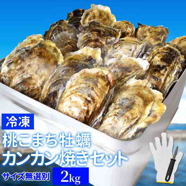 牡蠣 カンカン焼き セット ２ｋｇ ２５ ３０個前後入 冷凍牡蠣 送料無料 桃こまち 鳥羽産 ミニ缶入 牡蠣ナイフ 片手用軍手付き 殻の通販はau Pay マーケット 伊勢鳥羽志摩特産横丁