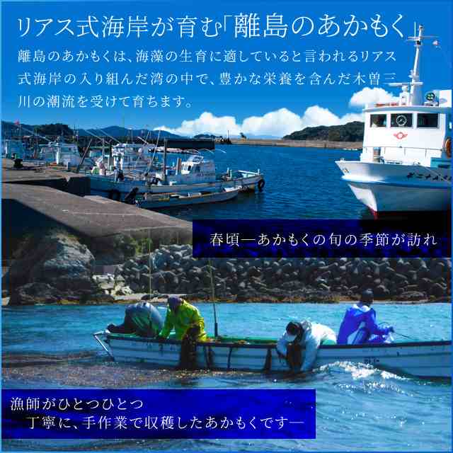 離島 あかもく お得な大容量チューブタイプ ２００g×５パック 伊勢志摩の離島で水揚げされたアカモク 送料無料 アカモク ギバサ 海藻 湯の通販はau  PAY マーケット - 伊勢鳥羽志摩特産横丁