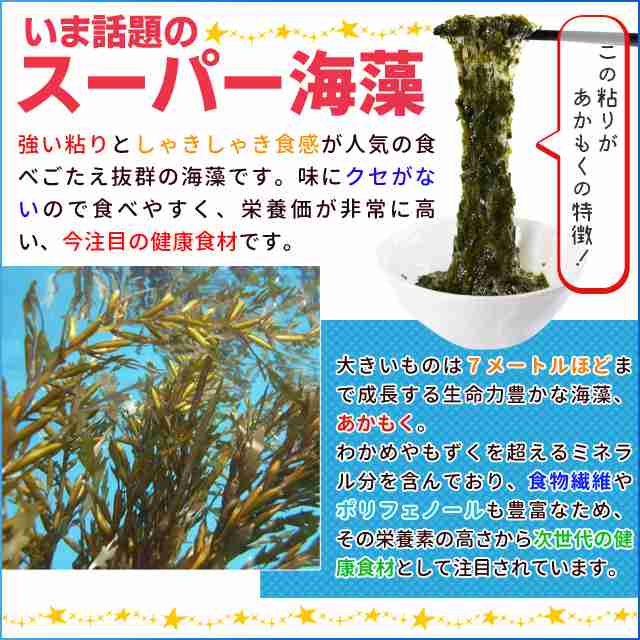 離島 あかもく チューブタイプ ９０g×１０パック 伊勢志摩の離島で水揚げされたアカモク 送料無料 アカモク ギバサ 小分けパック 海藻 の通販はau  PAY マーケット 伊勢鳥羽志摩特産横丁 au PAY マーケット－通販サイト