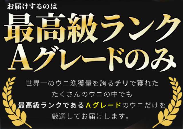 天然冷凍生ウニ　PAY　刺身雲丹　無添加　PAY　マーケット－通販サイト　ミョウバン不使用　最高級グレードの雲丹　海鮮丼の通販はau　伊勢鳥羽志摩特産横丁　マーケット　au　うに　１００ｇ×４