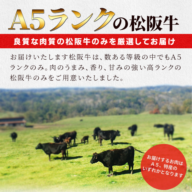 松阪牛 焼肉用 上 カルビ ６００ｇ 和牛 牛 貨物輸送無料 Ａ５位置づける厳選 出どころ証拠だてる付け出し 霜降りがのったあぶら身と旨みが揺るぎ無い 赤身 お中元 差し上げ物