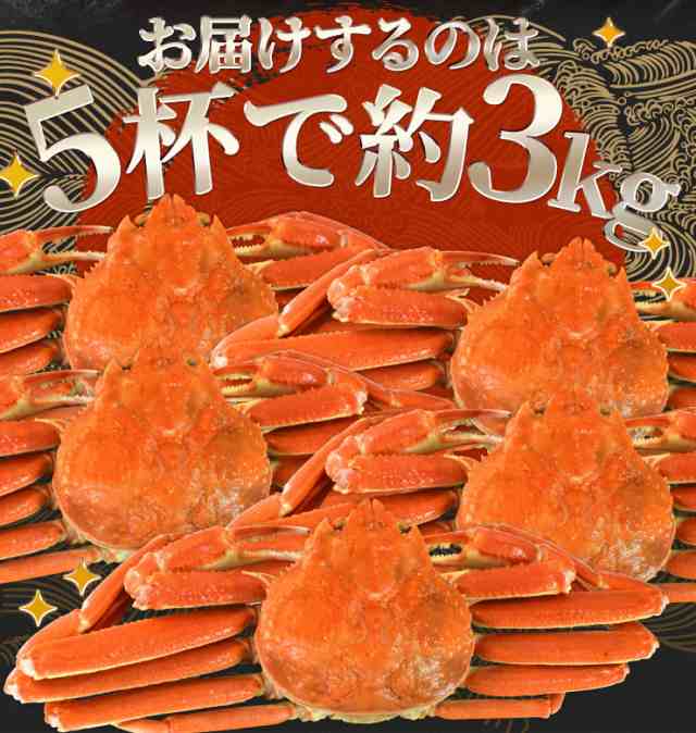 かに ずわいがに ボイル 姿 ５尾で３ｋｇ前後（６００ｇ前後×５ハイ