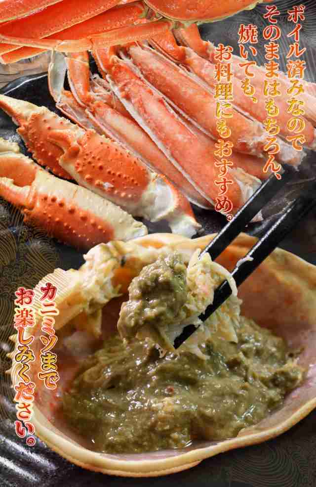 冷凍ボイル 本ズワイガニ5入/3kg(600g×5) 【公式通販】