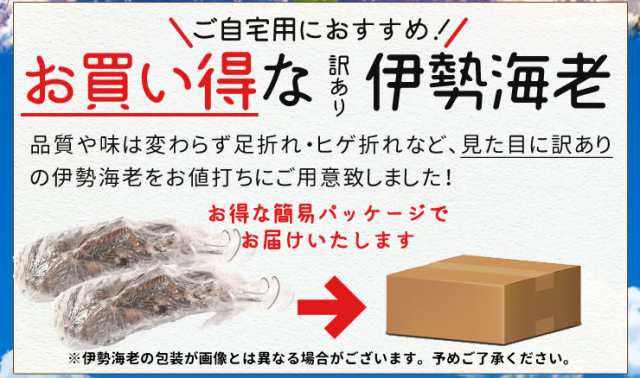 伊勢海老 三重県伊勢志摩産 ２尾で約６００ｇ 送料無料 刺身用瞬間冷凍